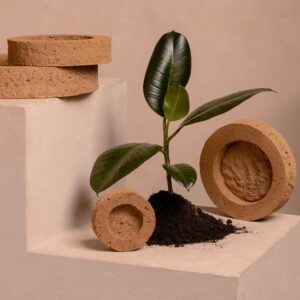 Self-watering tablet